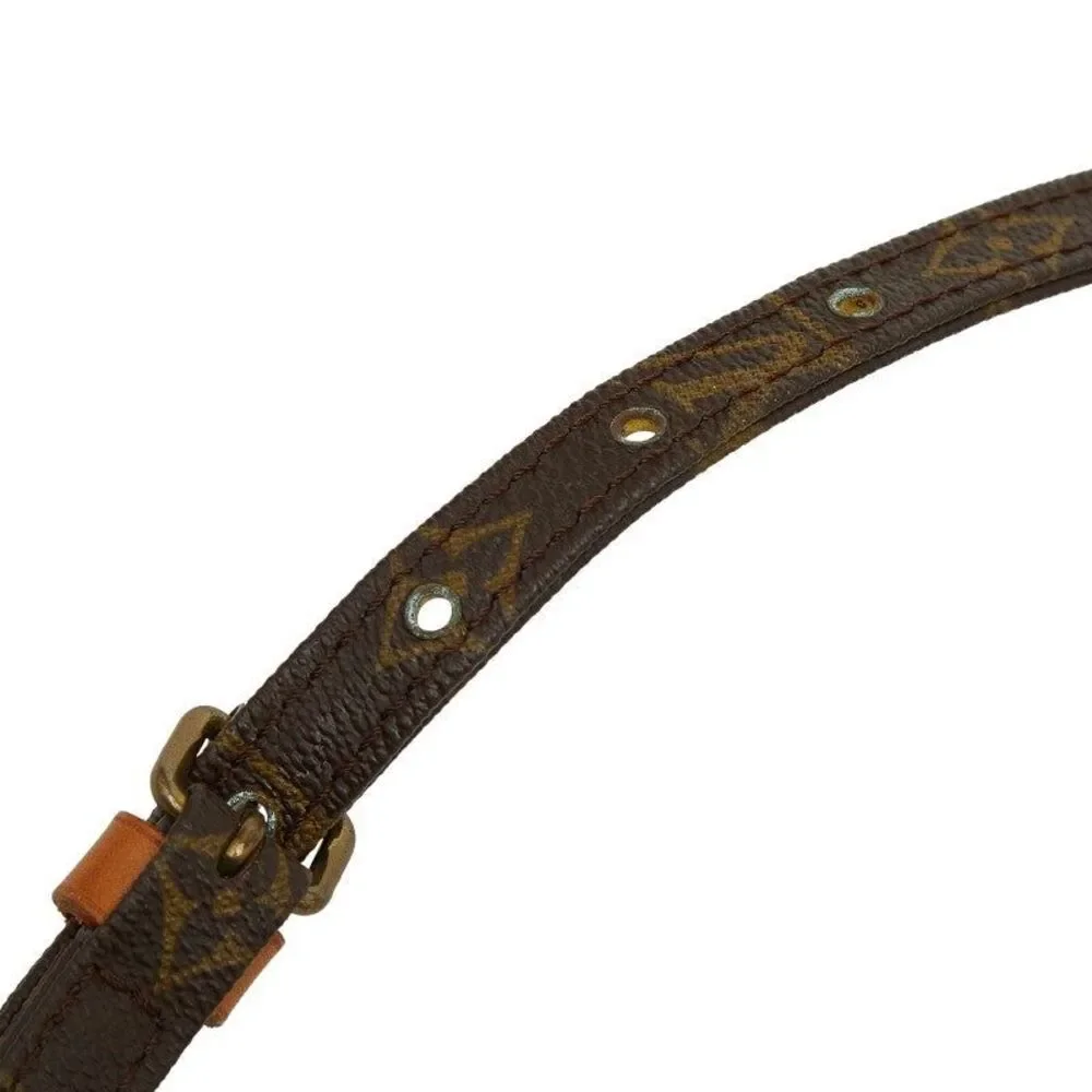 Louis Vuitton Danube Crossbody Bag
